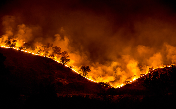 Trees burn in the Woolsey Fire in California in 2018. Credit: Wikimedia Commons.
