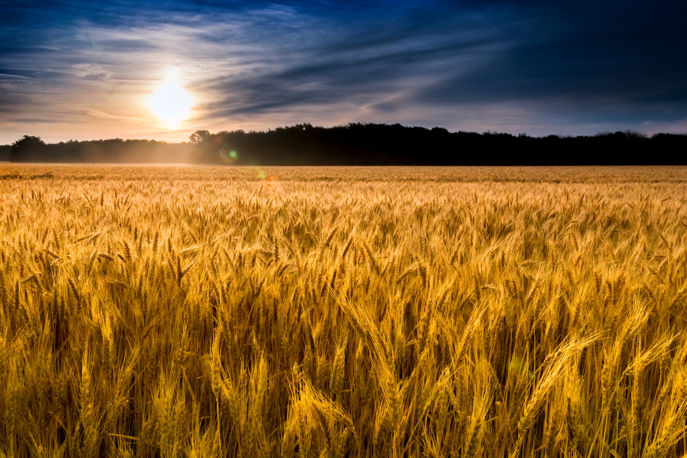 2024 Kansas Statistical Abstract now available