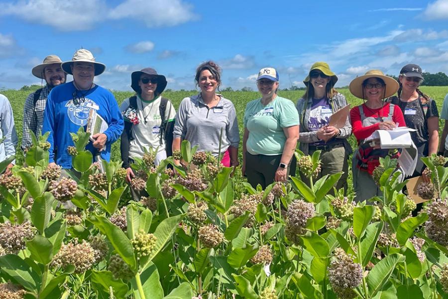 Group of people standing in a line facing camera in prairie setting with milkweed blooming in foreground.