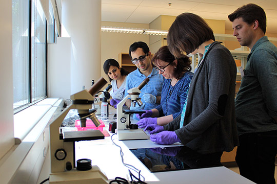 Maggie Witek leads a demonstration of how to align the microfluidic chip and coverplate by examining the chips' details through the microscope.