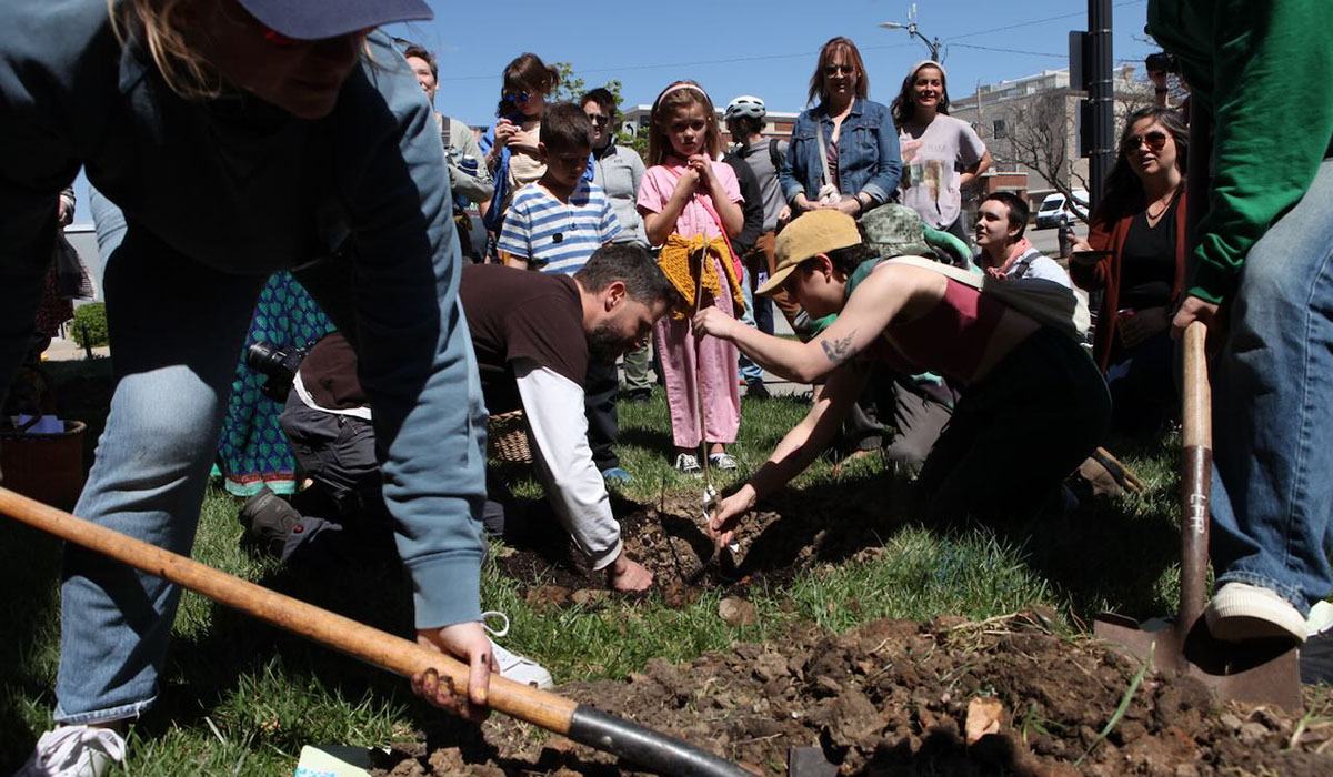 Two individuals dig holes in ground with smiling crowd in background for fruit tree planting outside Lawrence Public Library.