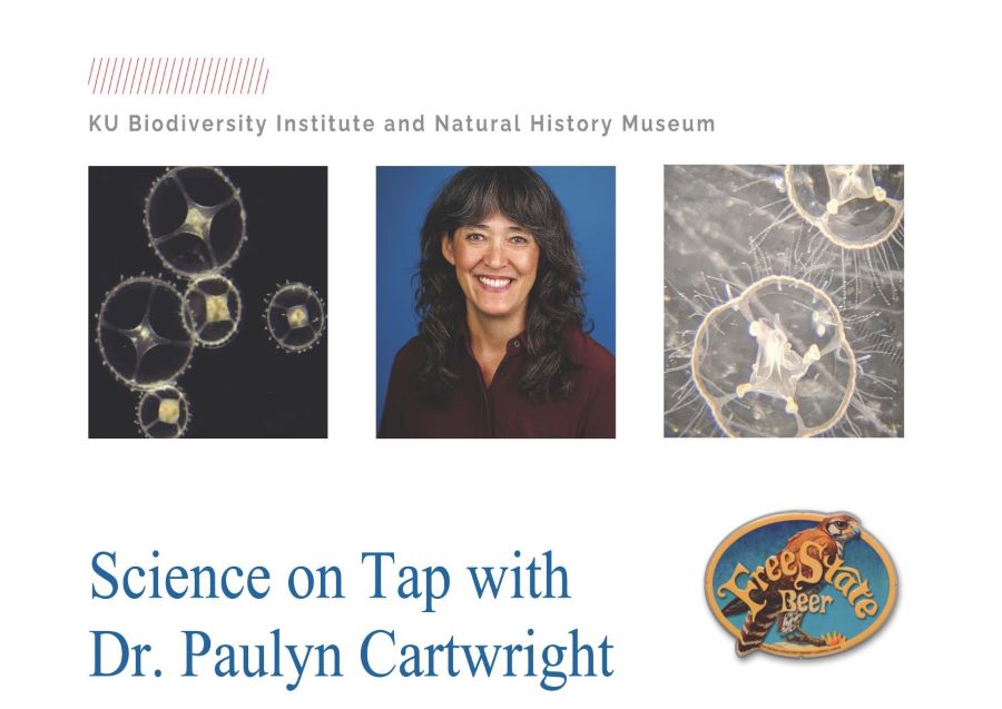 Dr. Paulyn Cartwright