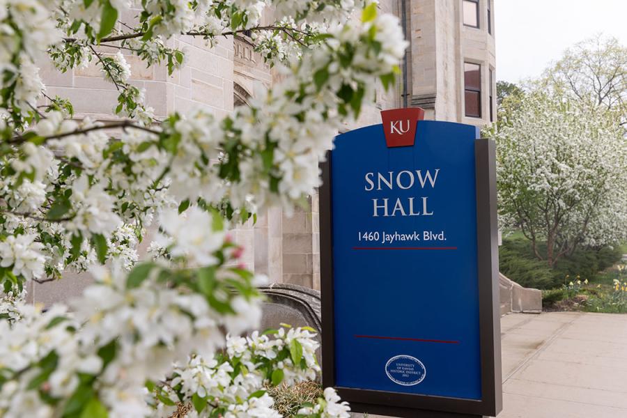 Trees bloom with white flowers outside Snow Hall, home to the Department of Mathematics.