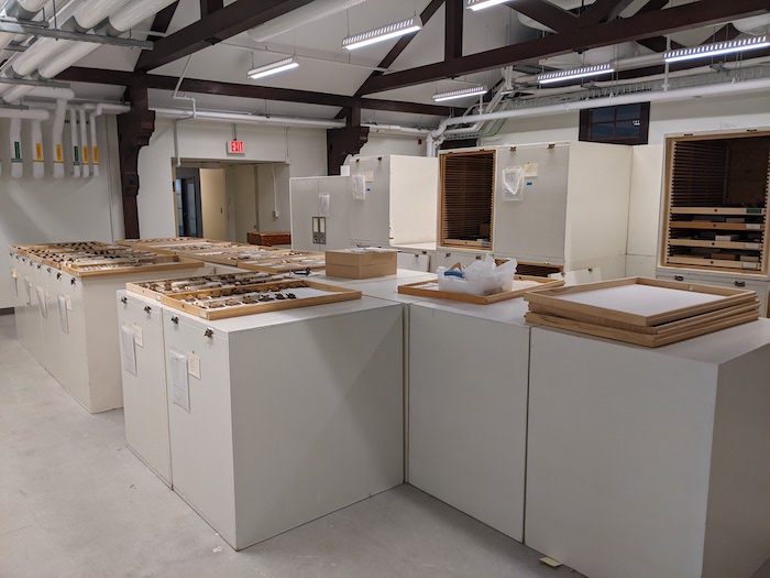 Wooden cabinets and drawers dating back to the 1960s — woefully inadequate for keeping out bugs that can damage important scientific specimens — today are being replaced with modern stainless steel cases and aluminum drawers built by Delta Designs in Topeka.