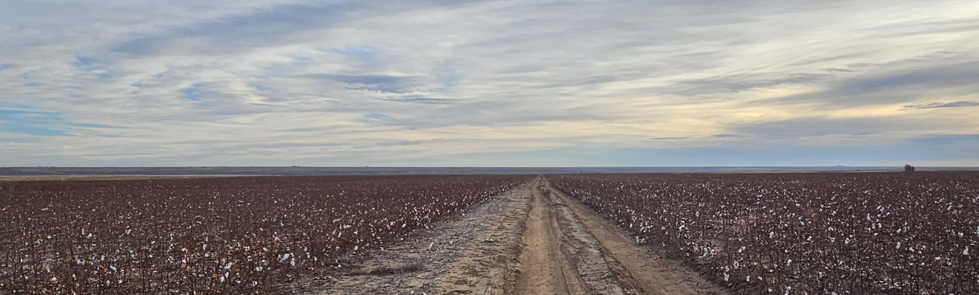 Groundwater levels in the Kansas High Plains aquifer see first overall increase since 2019