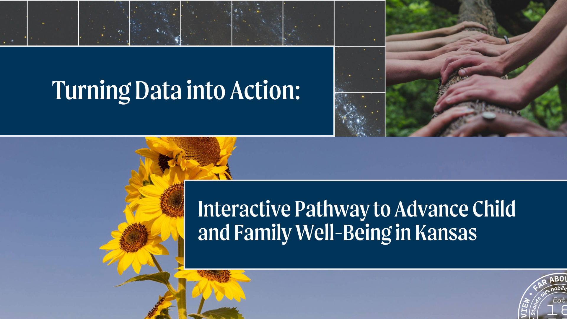 Turning Data into Action: Interactive Pathway to Advance Child and Family Well-Being in Kansas. Collage featuring hands on a tree trunk, sunflowers, and stars.