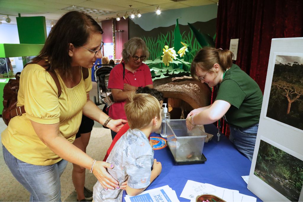 Two adults and two children looking at Madagascar hissing cockroaches.