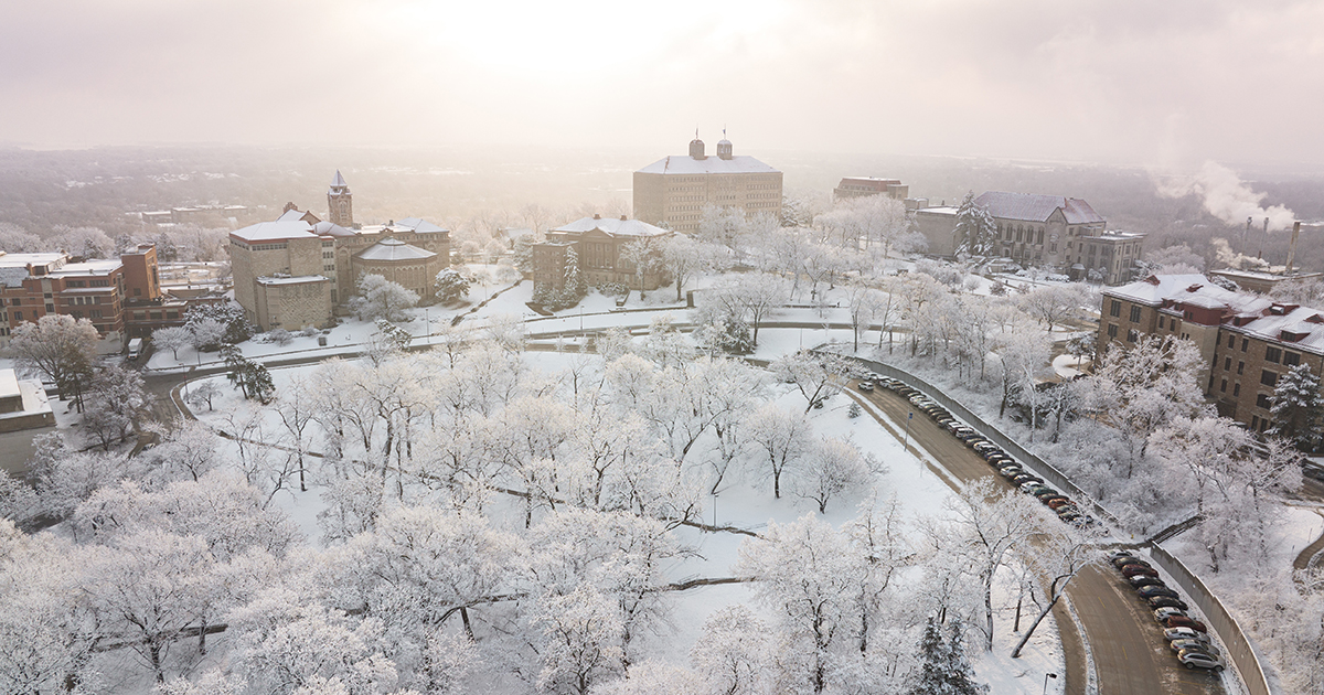 Snowy trees and Marvin Grove on misty day, Lawrence campus.