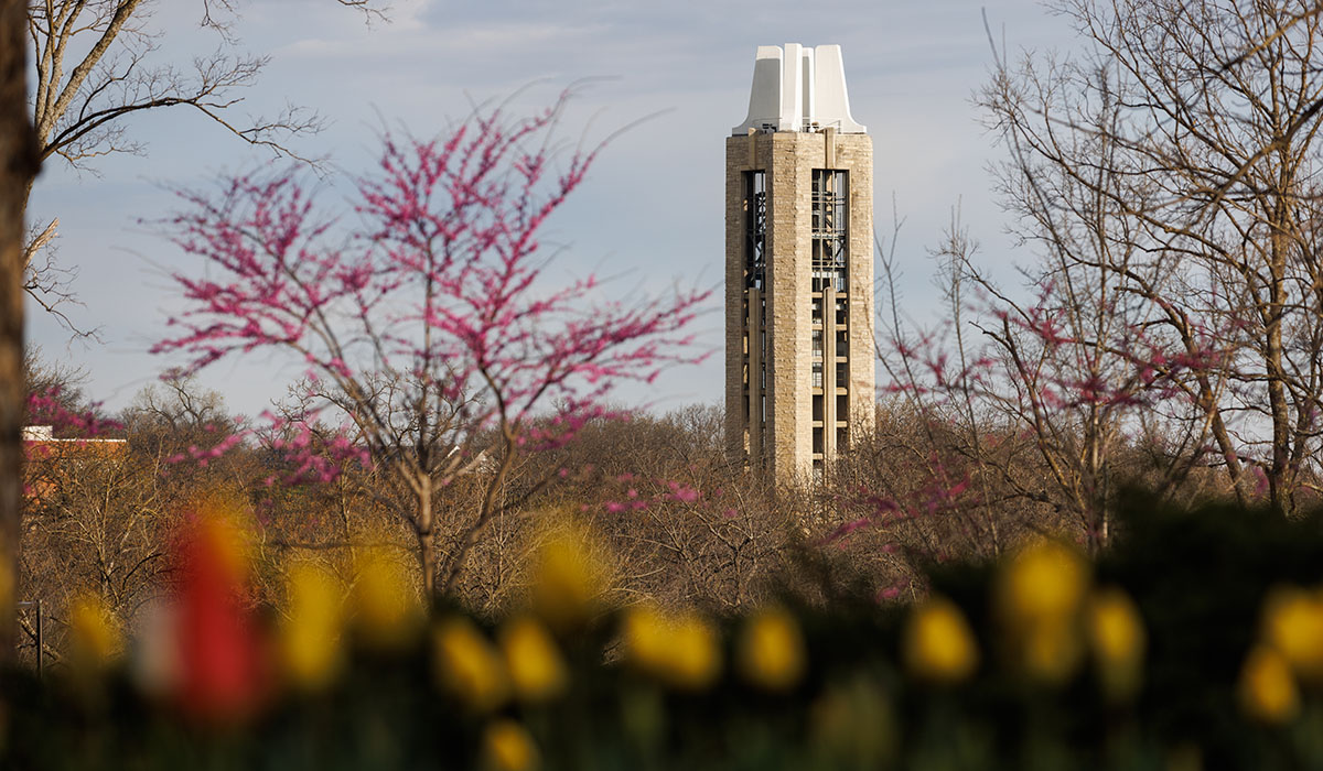 Campanile in distance with blurred foreground of tulips, trees with pink buds.