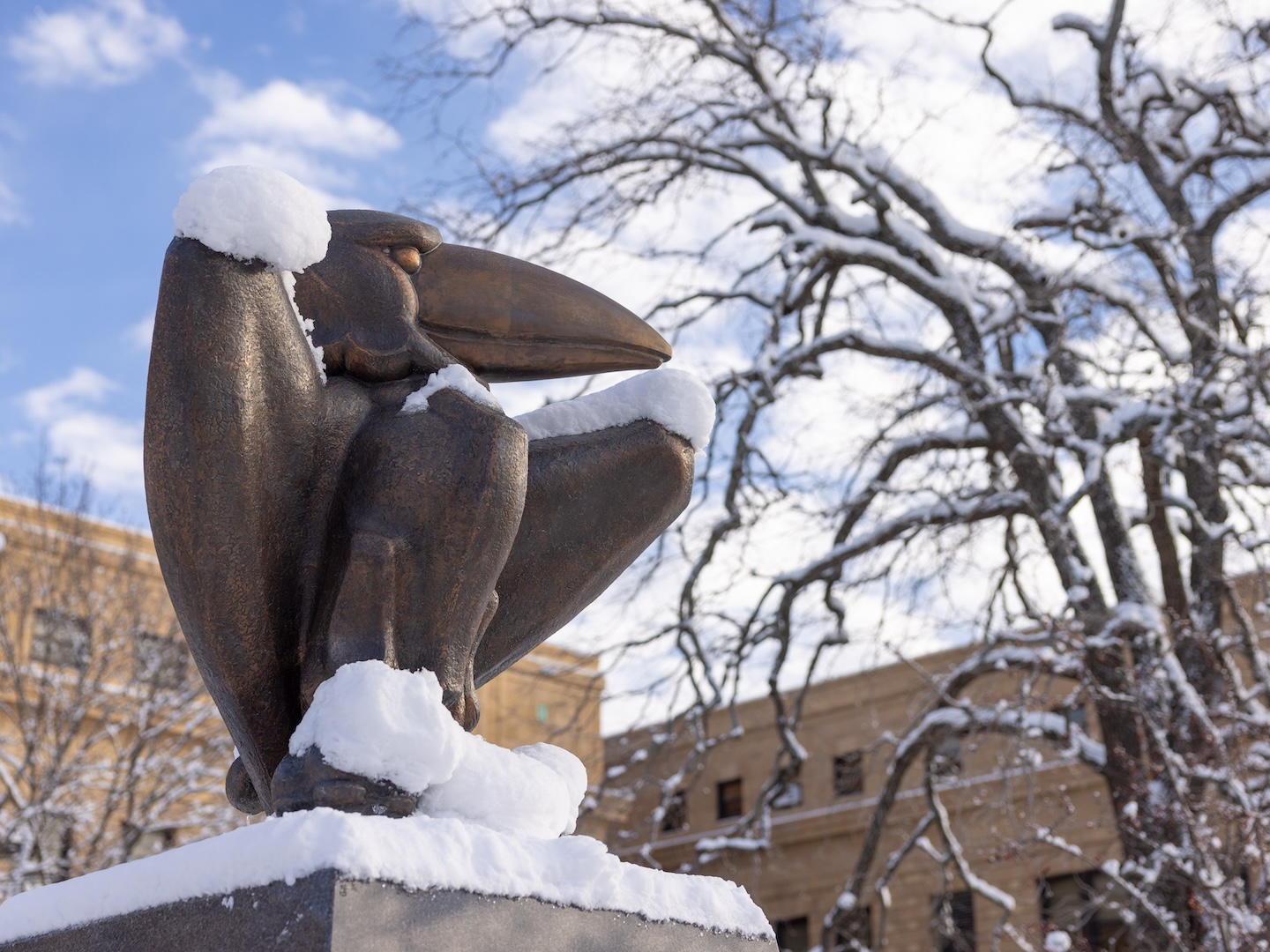 Jayhawk sculpture dusted with snow