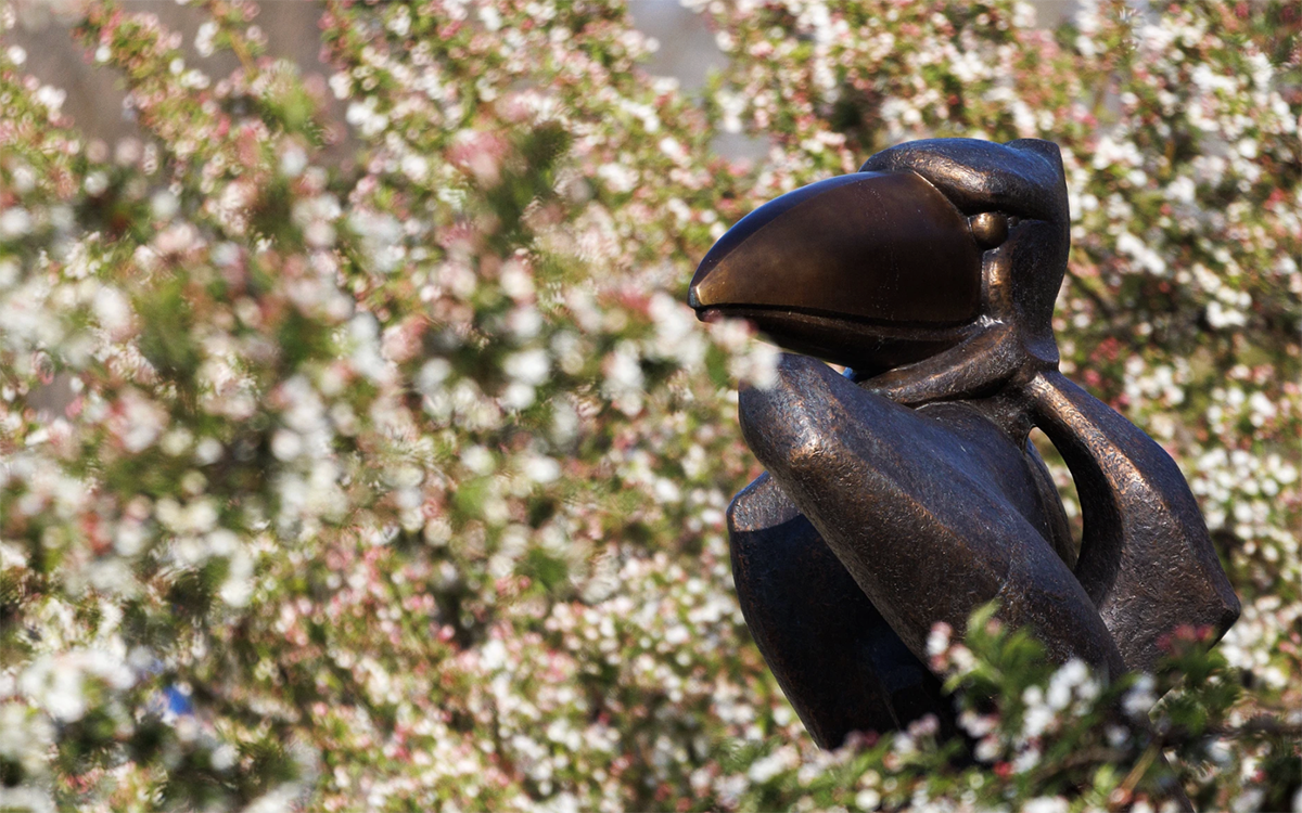 University announces 2026 Staff Fellows