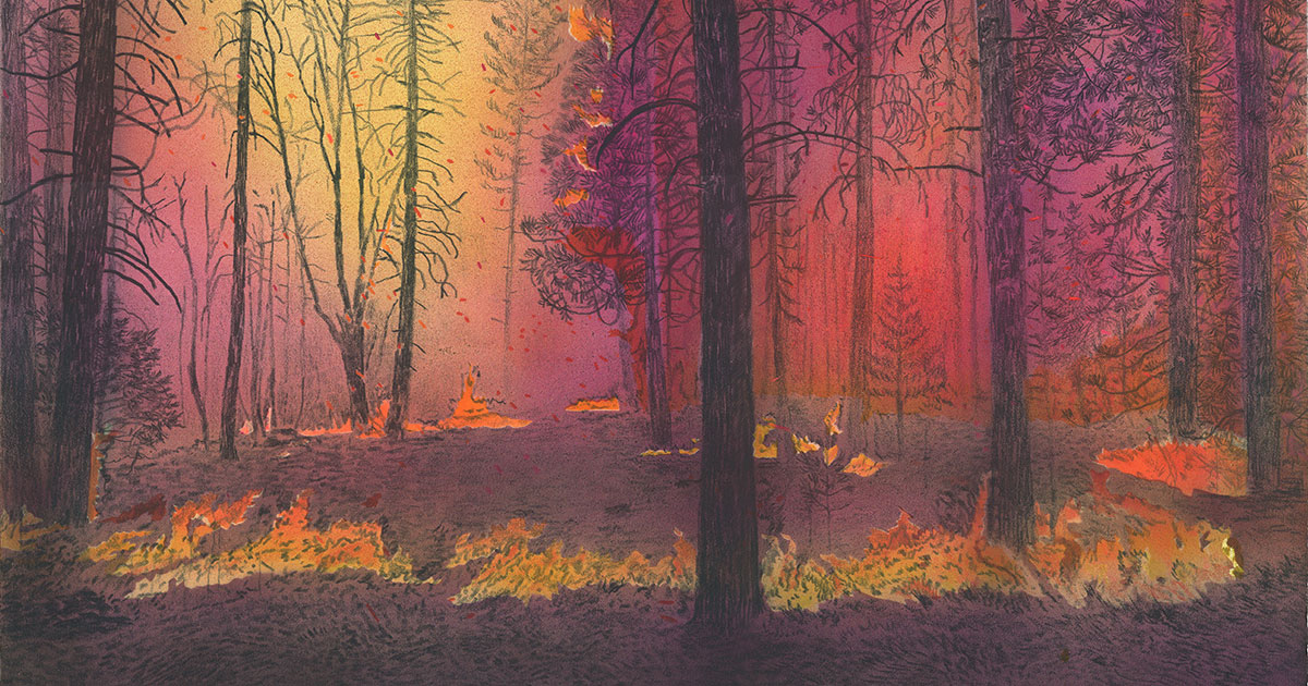 Small brush fires in dark woods with magenta and yellow sky, colored pencil and acrylic on paper,
