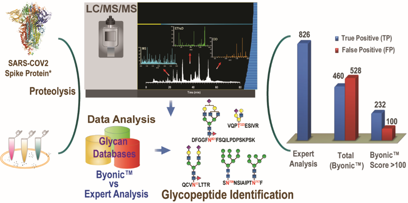 "Glycopeptide Identification"