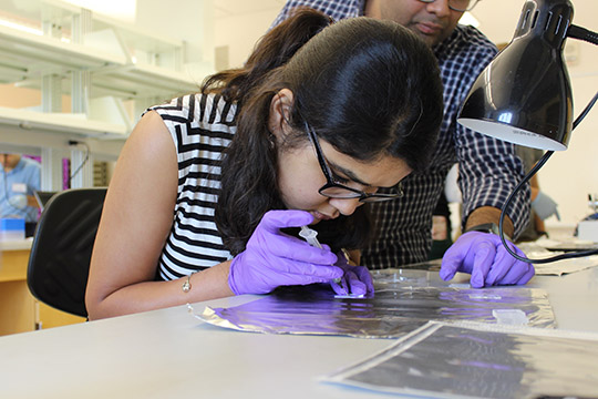 Kavya paints silver/silver chloride electrodes onto her chip using a syringe.