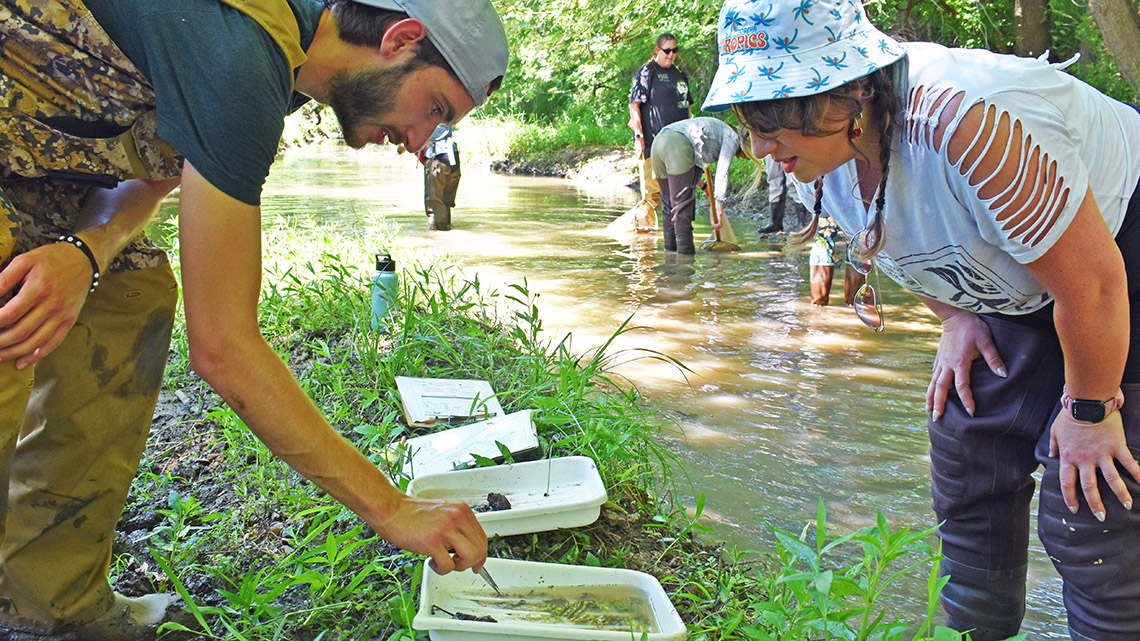 Teachers look at small crustaceans in trays beside stream