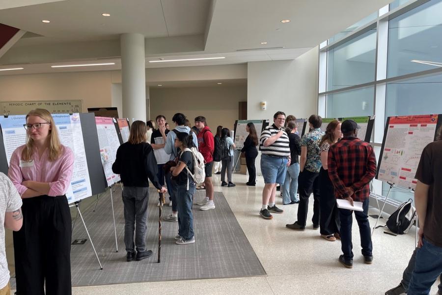 Groups of Students presenting their posters