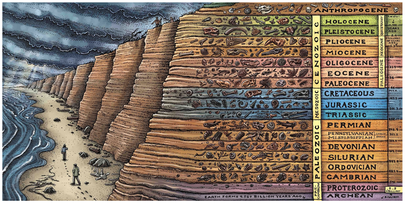 Illustration of strata in rock formation with guide to the period in which they were developed, Archean to Anthropocene. Artwork from Ray Troll