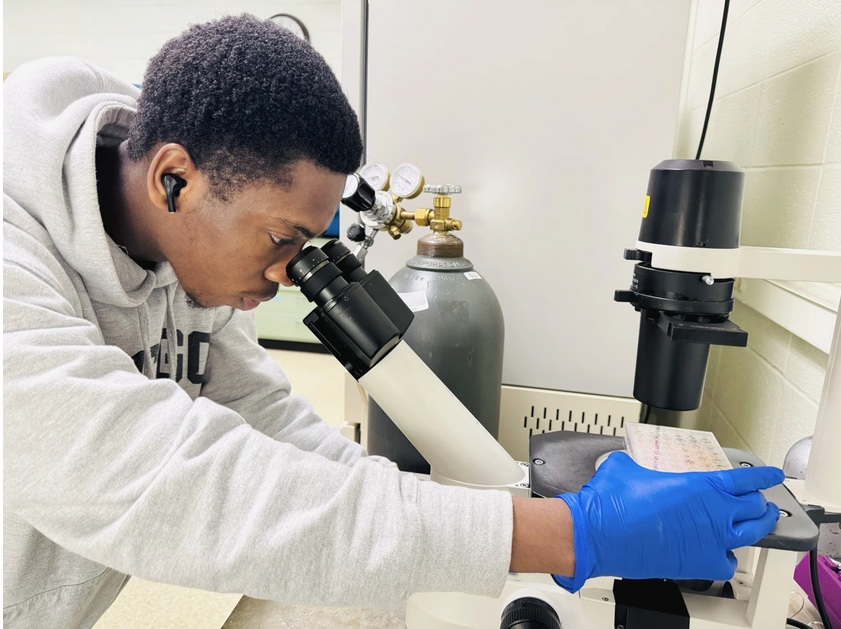 Graduate researcher Azeem Talabi look through a microscope