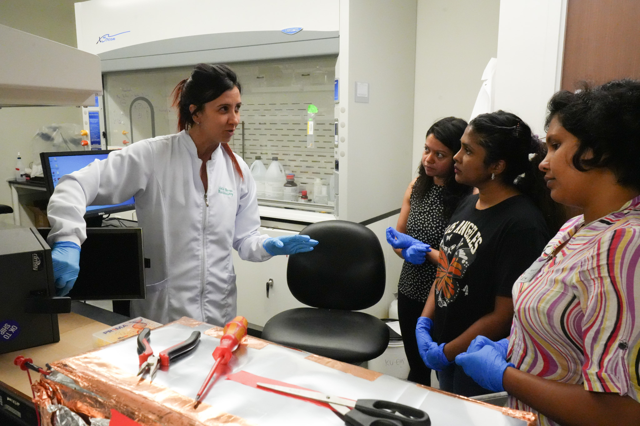 Dr. Barros explains the setup of an insulating Faraday cage to a group of workshop participants