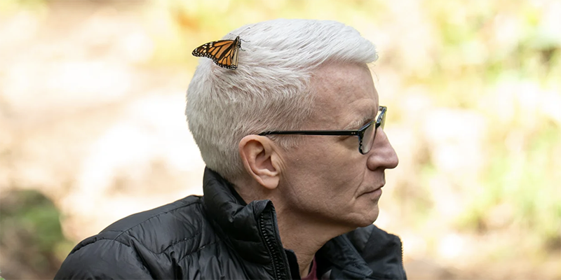 CBS journalist Anderson Cooper, man with short white hair and dark glasses, looks to the side as a monarch butterfly rests on his head.
