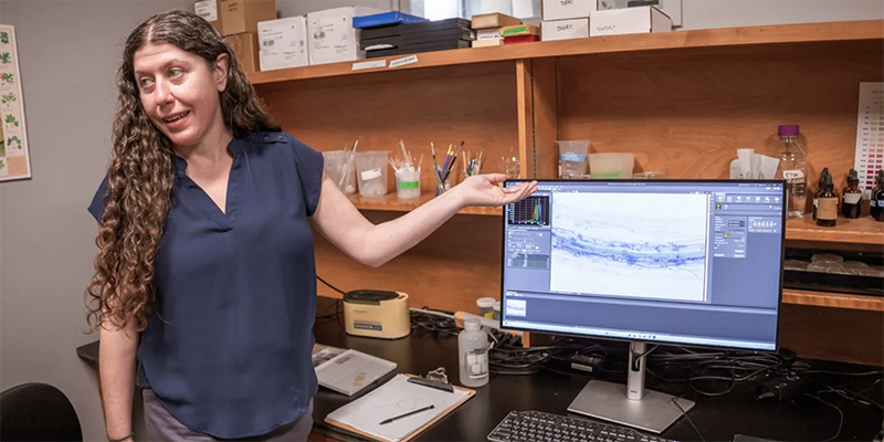 Person standing next to computer screen gesturing