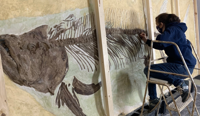 KU Biodiversity Institute names Christina Lutz lead preparator and lab manager in vertebrate paleontology