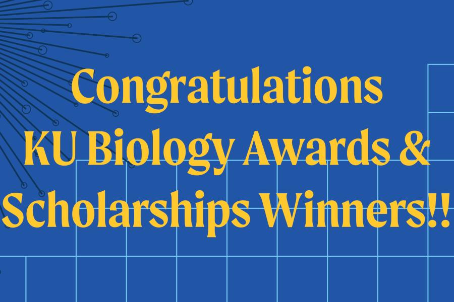 Scholarships and Awards Image Header