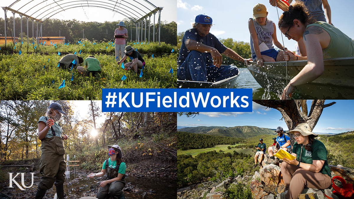 University of Kansas researchers conduct fieldwork in prairies, rivers, streams and mountains. The #KUFieldWorks series follows researchers on their fieldwork adventures.