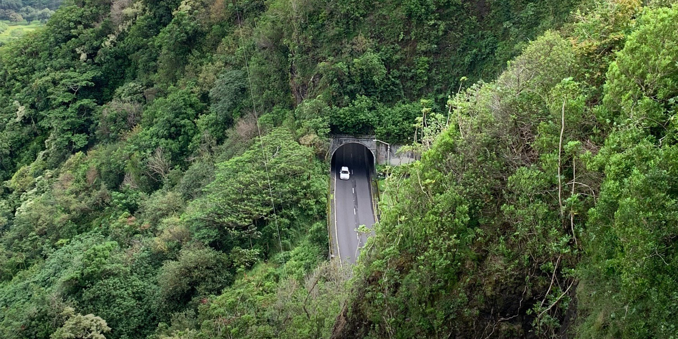 Car driving into tunnel in woods.