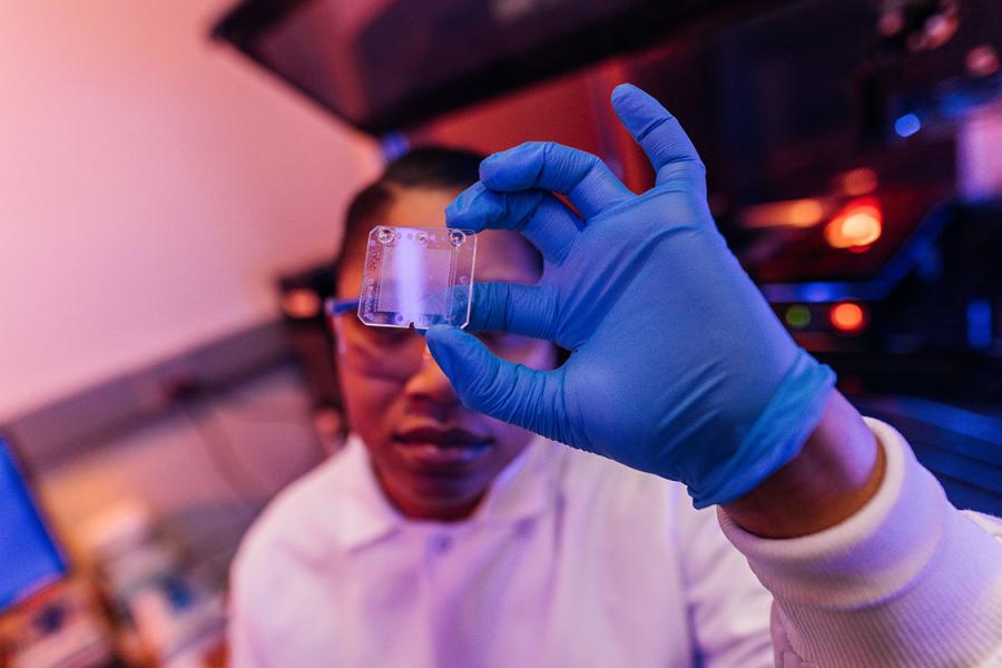 Lab assistant holds up computer chip in blue light.