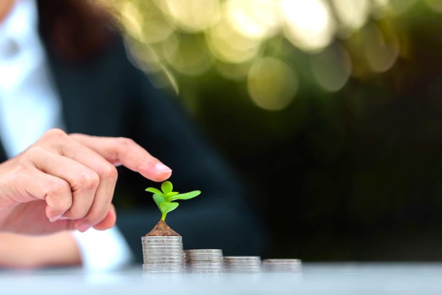 A businessperson touches a green seedling on a stack of growing coins.
