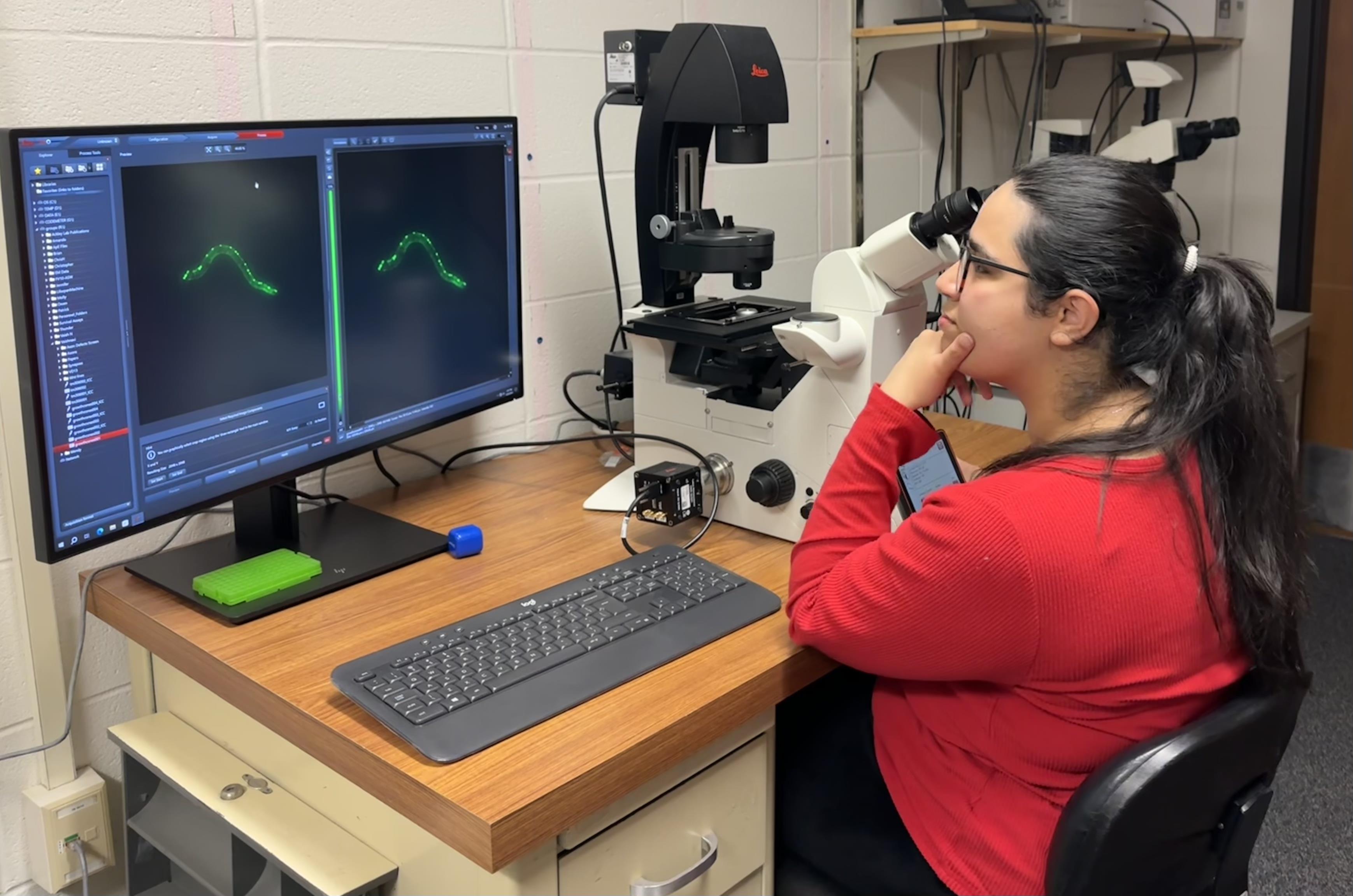 Laiba working at a microscope and computer