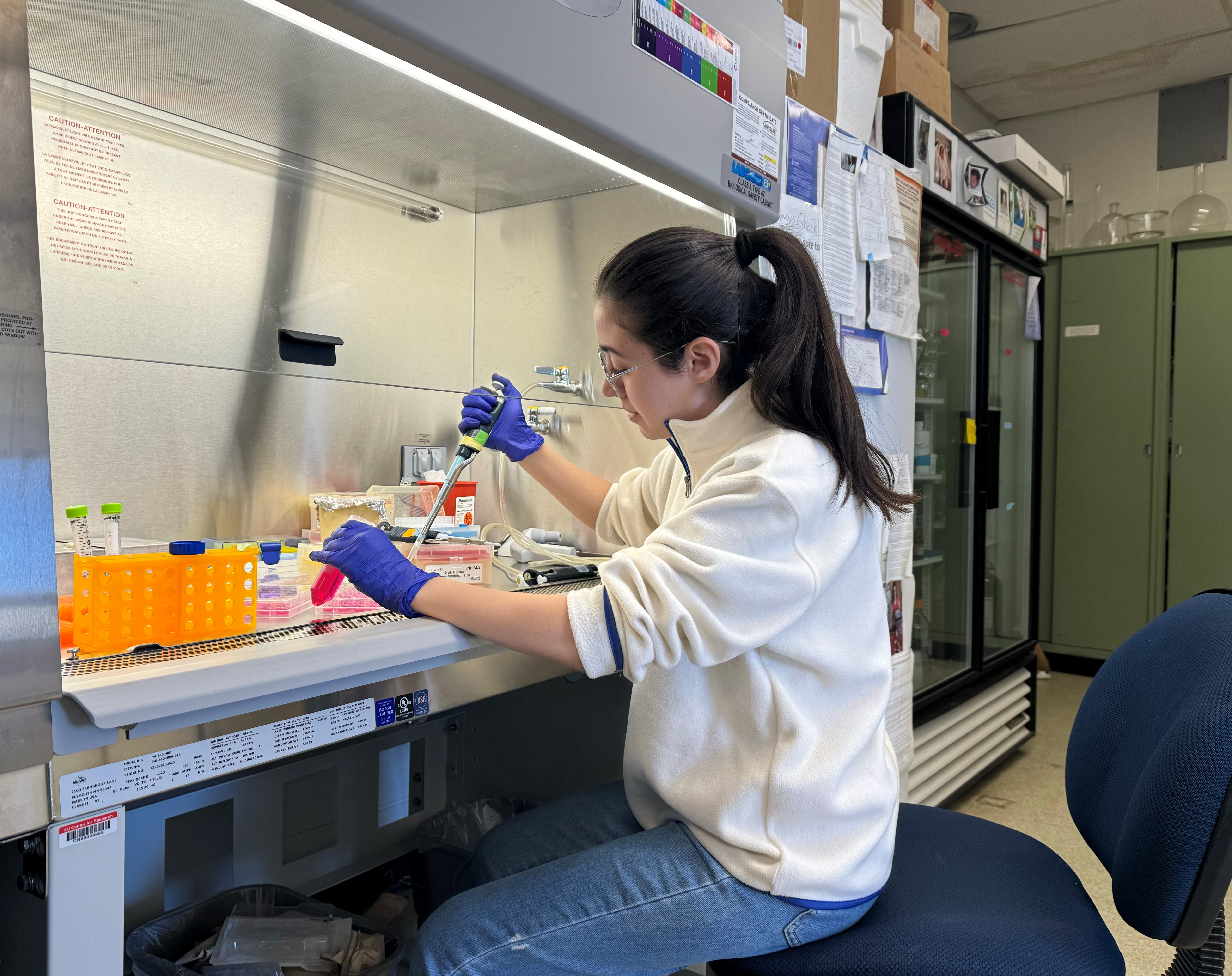 Kamar working in the Lab, pipetting specimines