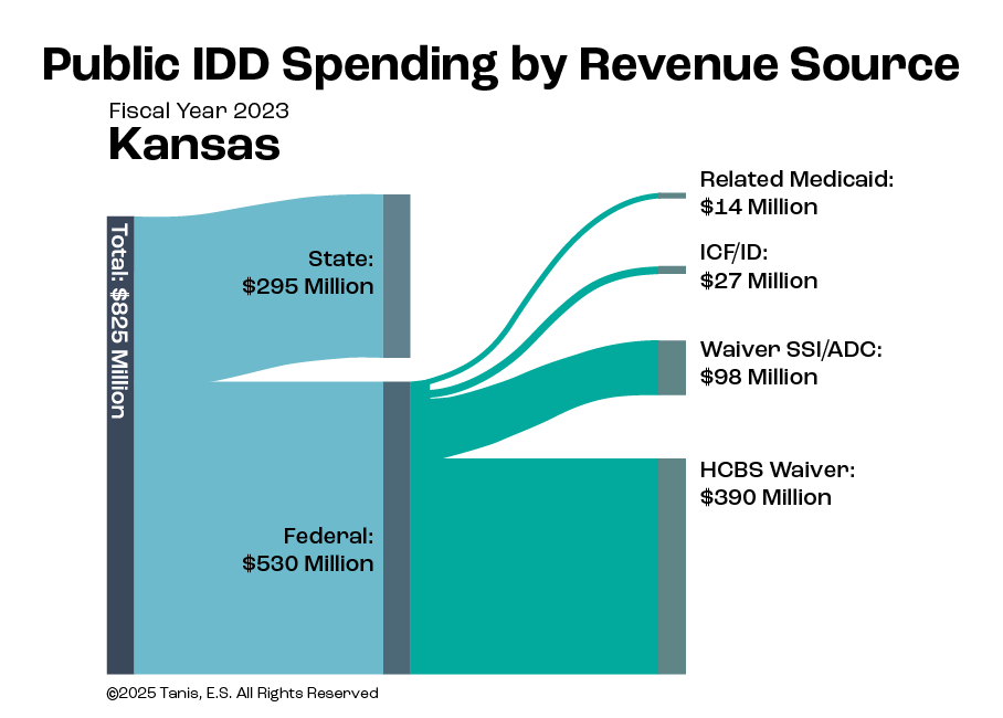 A graph that shows public IDD spending for Kansas by revenue source, with a total of $825 million that is made up of $295 million at the state level, and $530 million at the federal level.