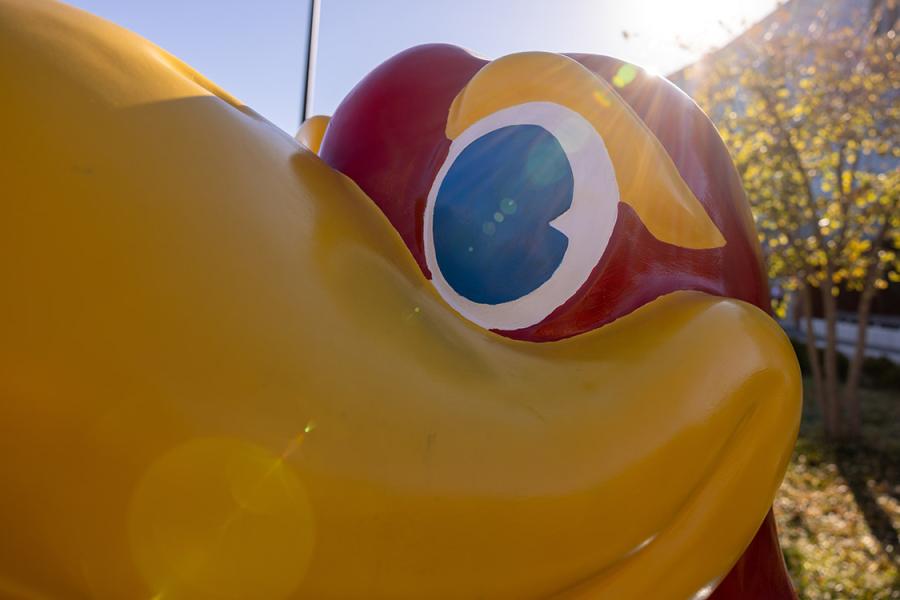Closeup of the Jayhawk statue on the University of Kansas Lawrence campus.