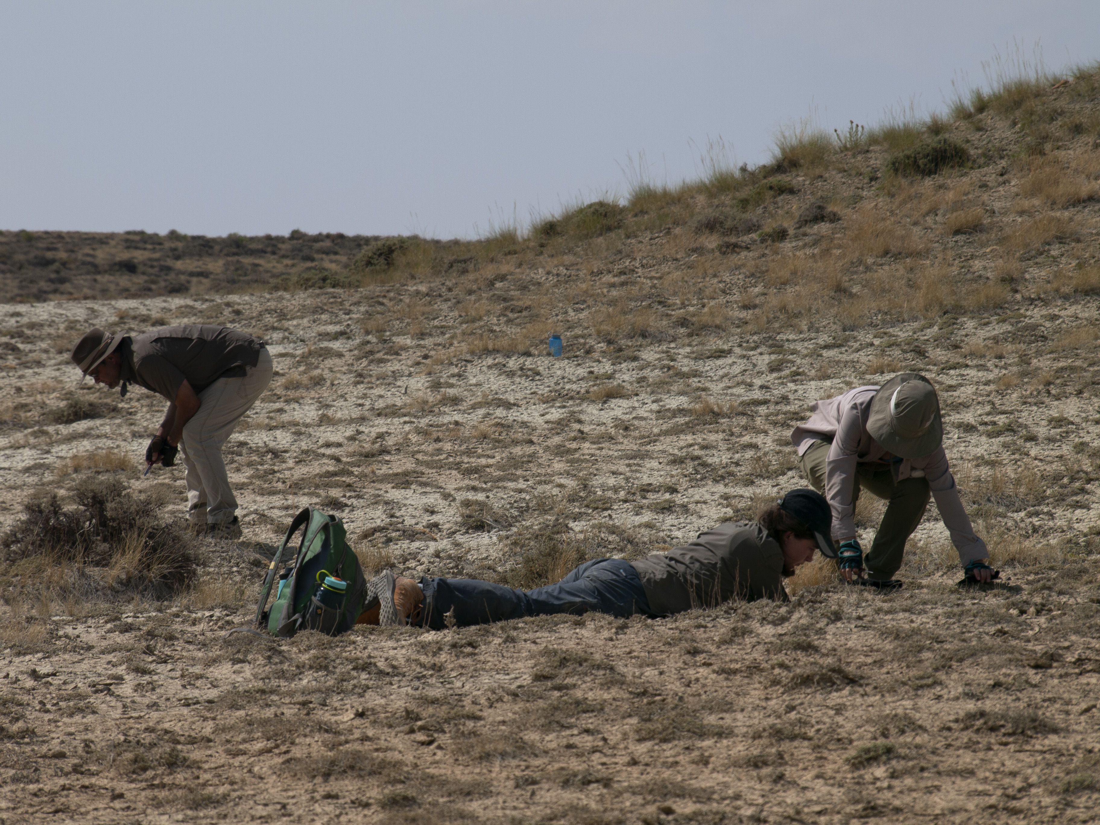Christopher Beard, Kristen Mill and Kathleen Rust dig in the dirt in Wyoming to uncover fossils.