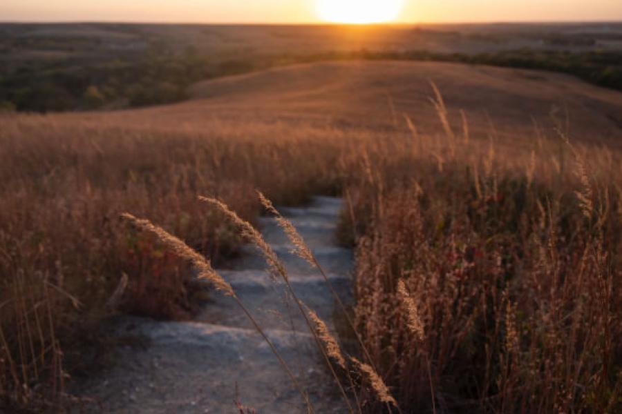 stone steps descending on a trail through the tallgrass prairie at sunset