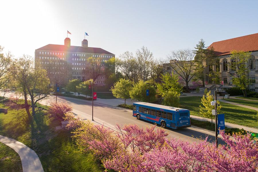 Pink buds and leafy trees on Jayhawk Boulevard with Fraser Hall, Watson Library, KU bus in view.