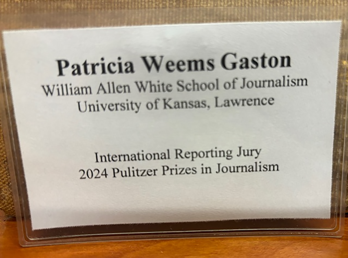 Patrica Weems Gaston credentials