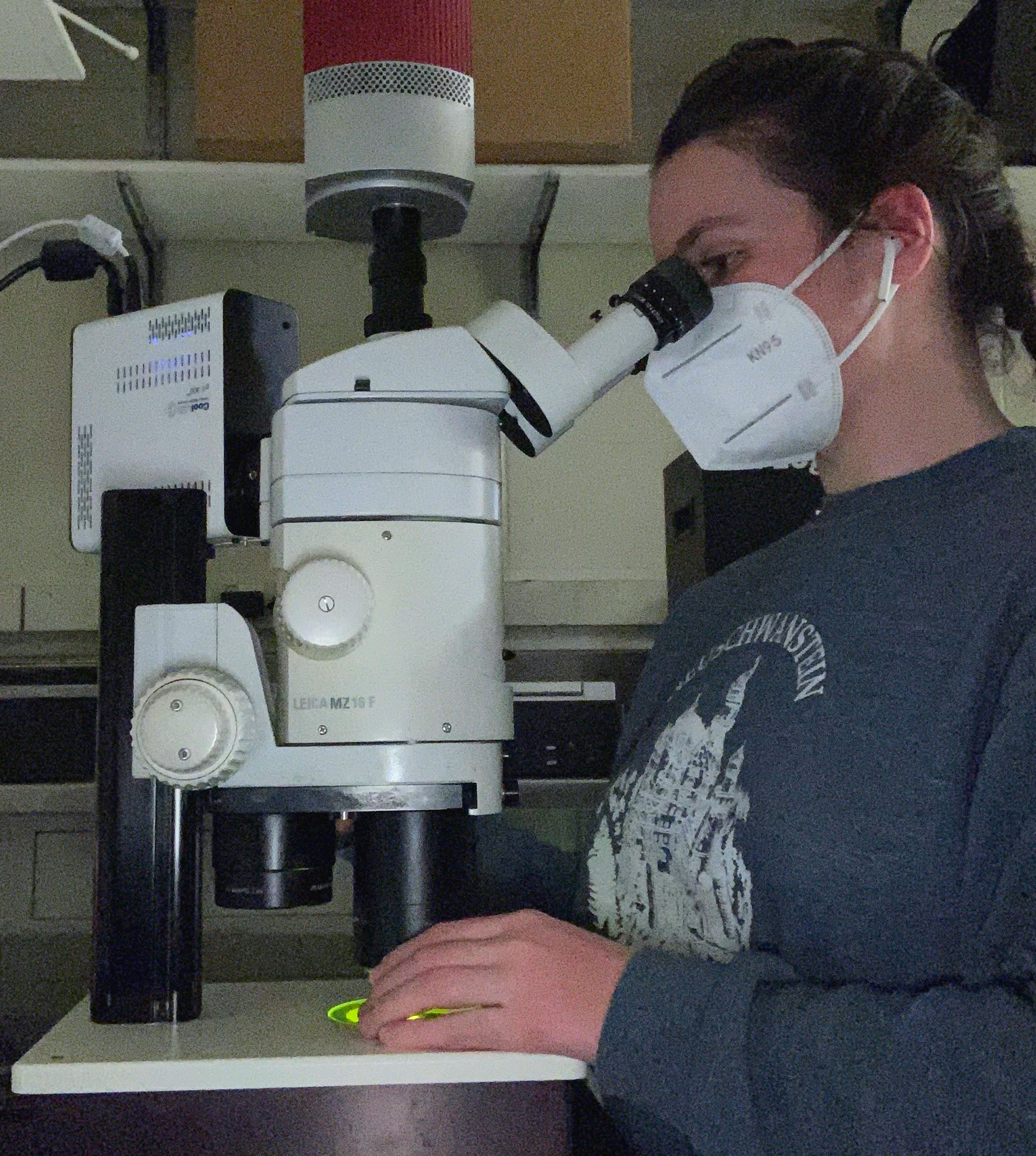 Emily at a florescent microscope