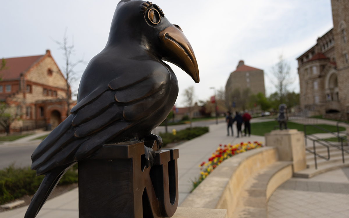 Jayhawk statue amid tulips outside Kansas Union at the University of Kansas