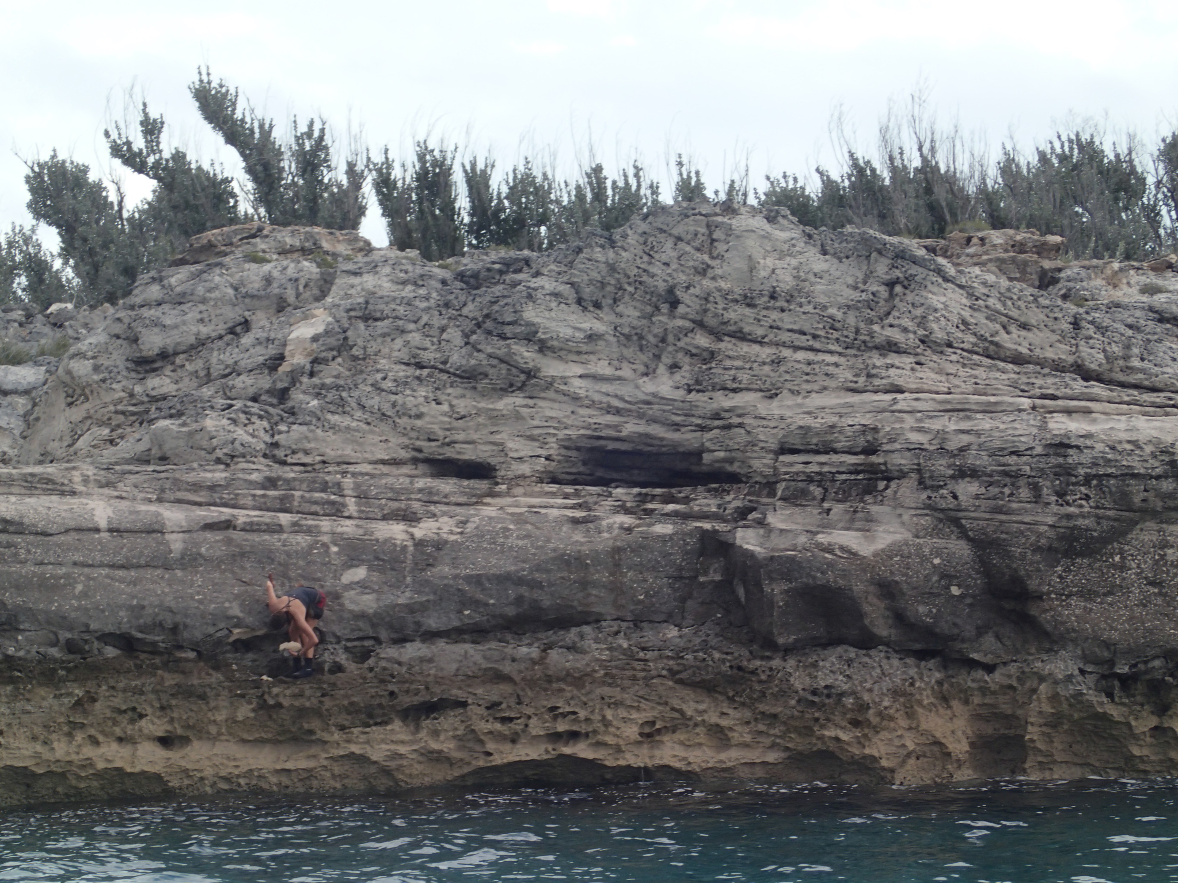 Geologist climbing on shoreface outcrops, Crooked Island, Bahamas