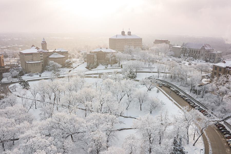 Snowy trees and Marvin Grove on misty day, Lawrence campus.