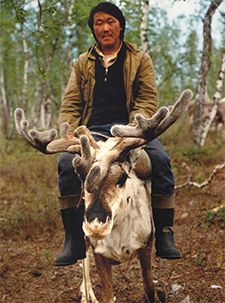 Man sitting on top of Reindeer in forest