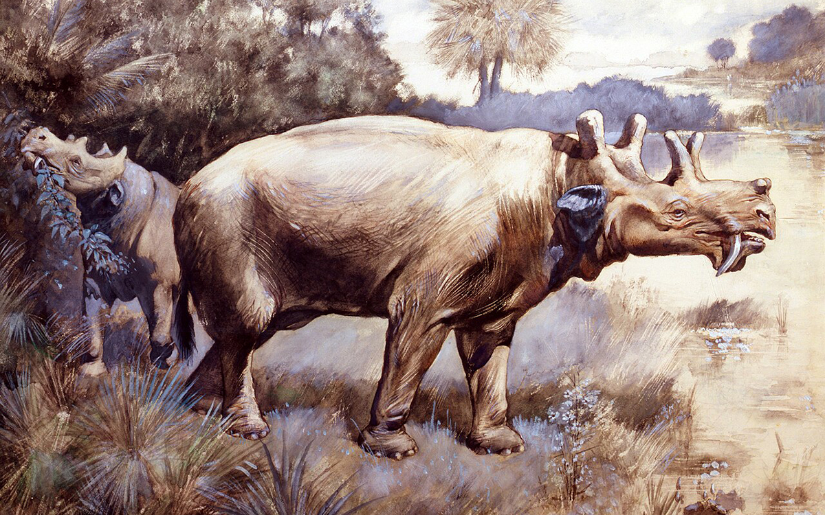 Illustration of uintatheres