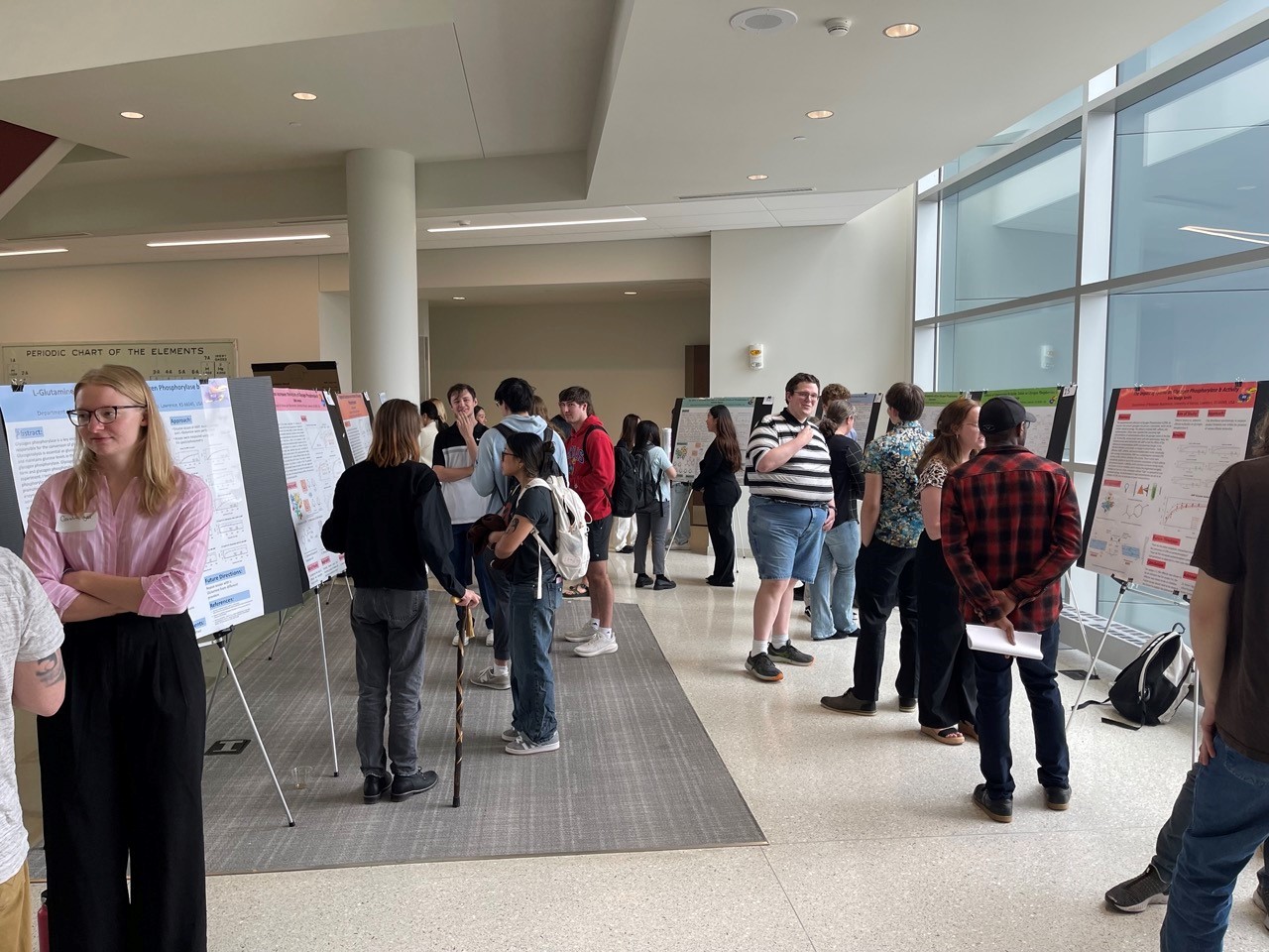 Groups of Students presenting their posters
