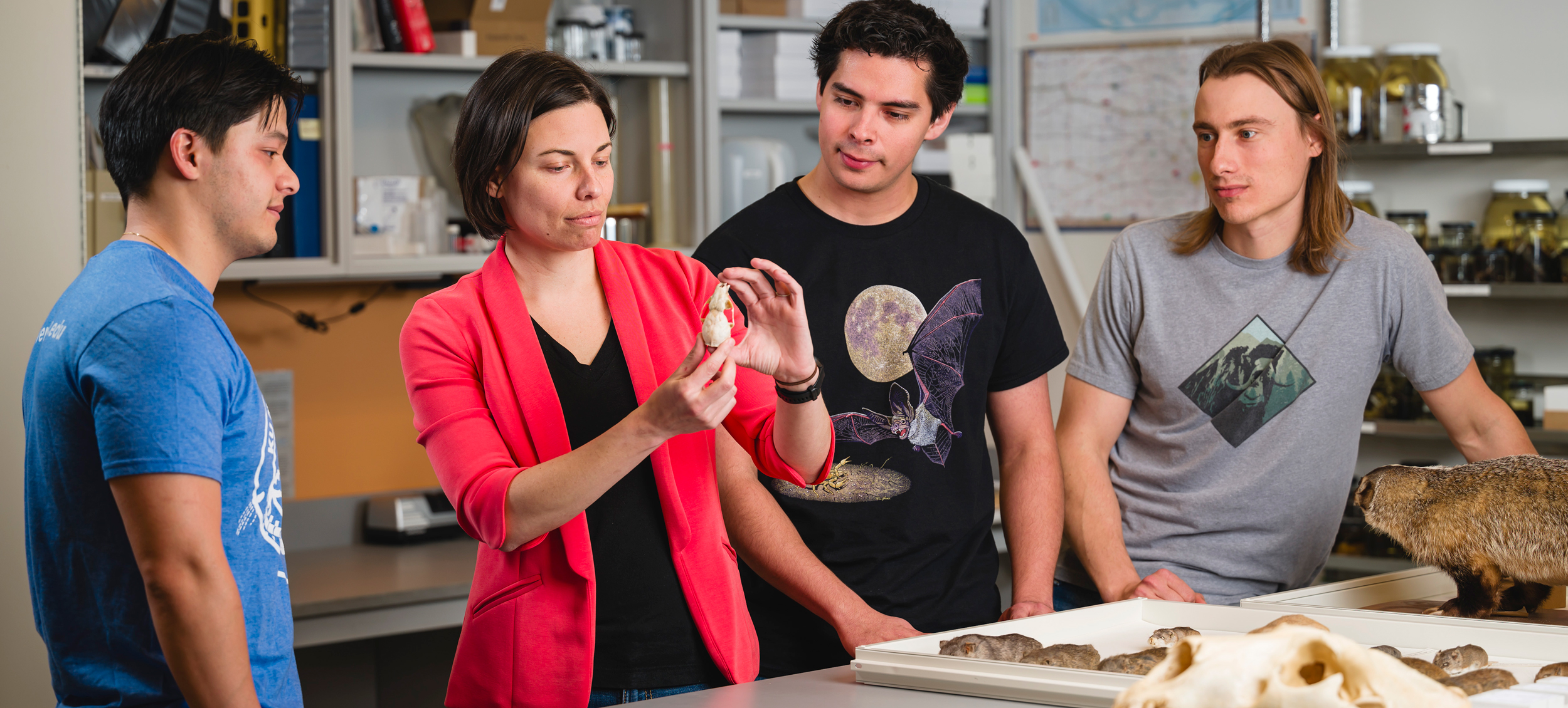 Robert W. and Geraldine Wilson Assistant Professor Jocelyn Colella shows student researchers (from left) Alex Hey, Daniel Ibañez IV and Ben Wiens what types of information the skull of a small mammal can reveal.