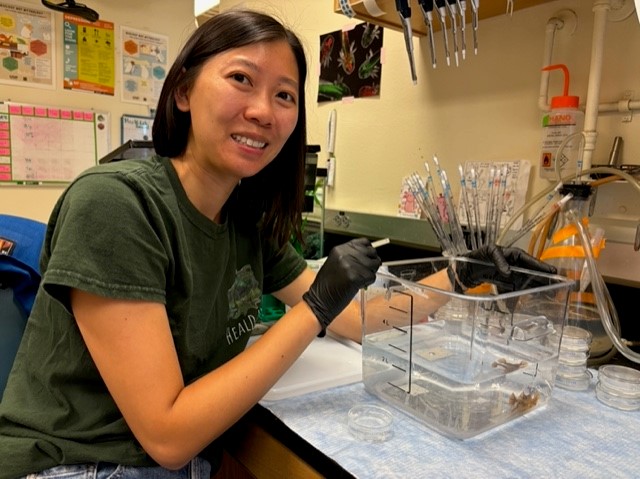 Dr. Coral Zhou at the bench