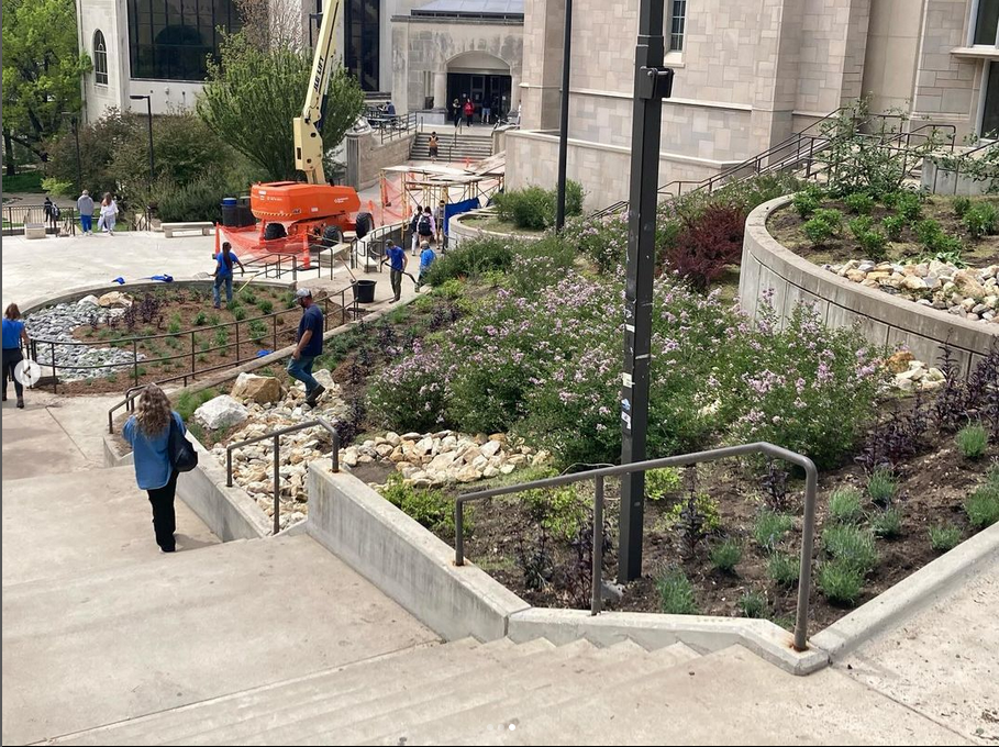 KU landscape workers renovate the Malott stairway area, adding plants and rock features to the environment. 