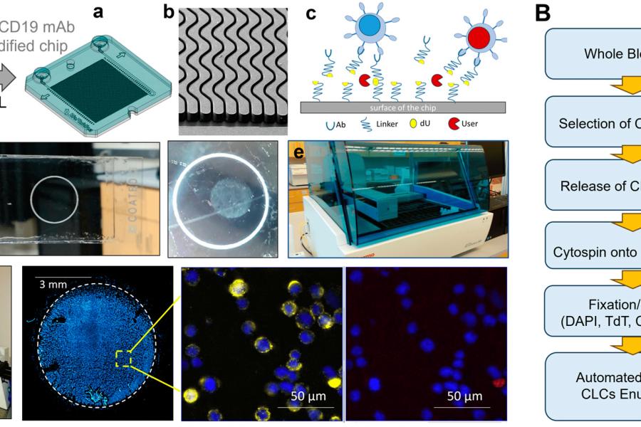 Figure showing the workflow of processing patient blood with a mircofluidic chip with a board of graphics and photos to the left and a flowchart to the right